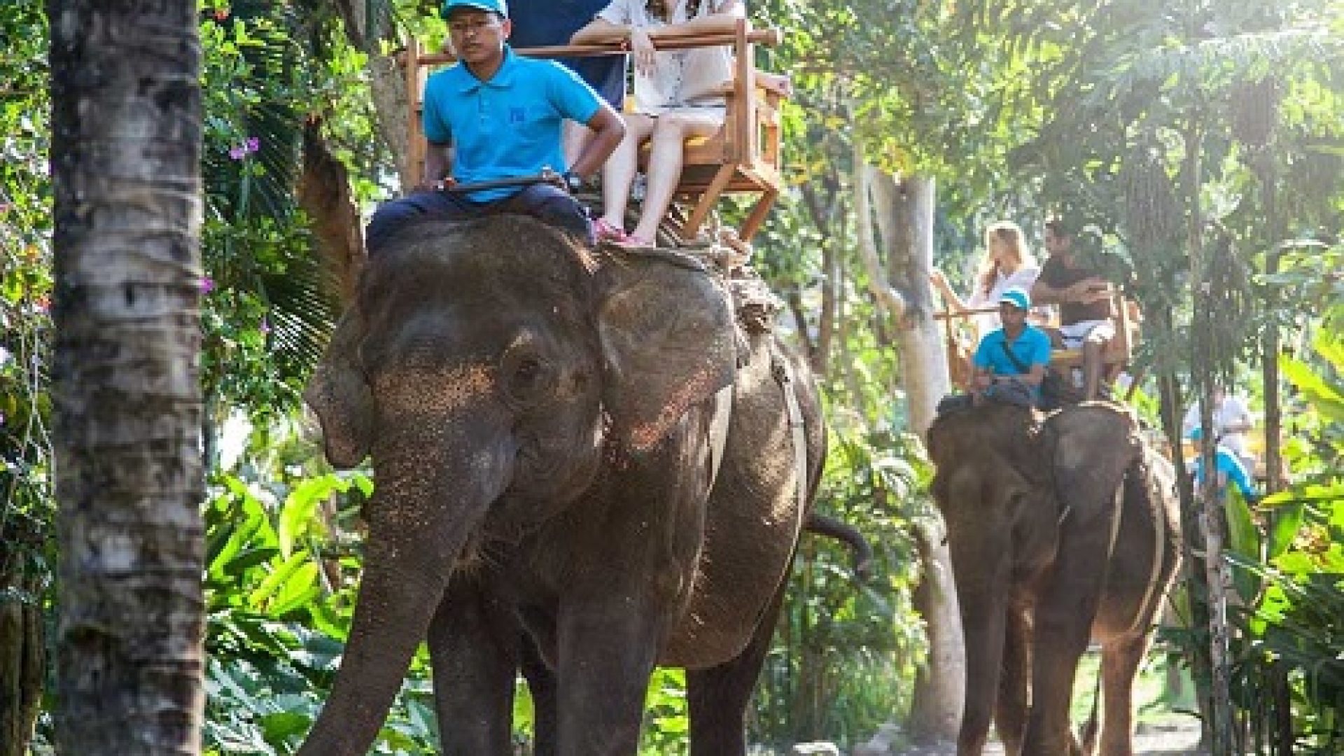 Elephant-Ride